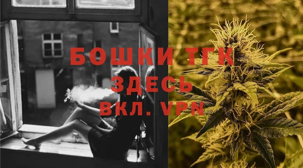 Альфа ПВП Аркадак