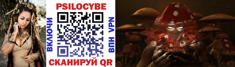 Псилоцибиновые грибы мухоморы  blacksprut ССЫЛКА  Бежецк 